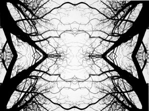 Biophilia Hypothesis Lotus screen print Jillian Ciemitis