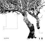 © 'This Tree is Numbered #18' 2014 ink on paper Peteris Ciemitis