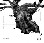 © 'This Tree is Numbered #39' ink on paper Peteris Ciemitis